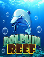 เครื่องสล็อตไก่น้อยสีทอง สูตรเด็ดสร้างโอกาสชนะ